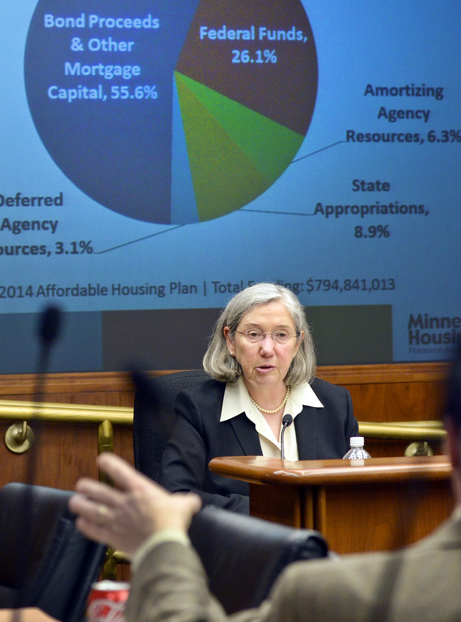 Housing Finance Agency Commissioner Mary Tingerthal presents an overview of state housing to the House Greater Minnesota Economic and Workforce Development Policy Committee Jan. 29.  Photo by Andrew VonBank